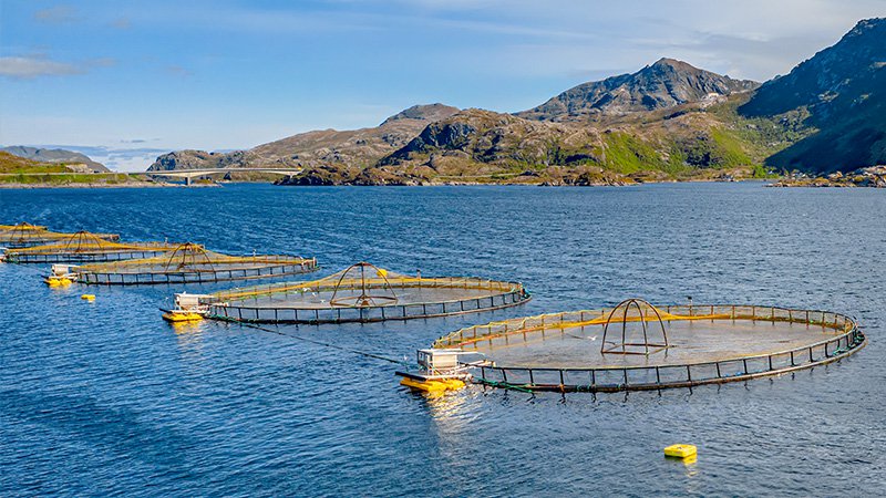 industry_aquaculture_rdax_200x100